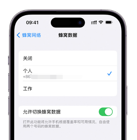 天门苹果维修服务分享如何在iPhone上使用双卡 